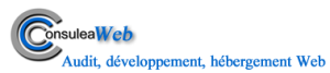 logo consuleaWeb 2014